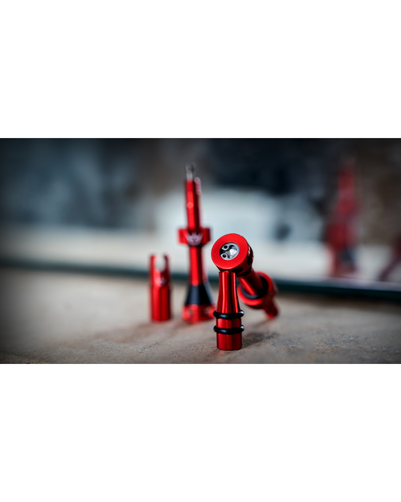 Peaty's HoleShot Fast Flow Tubeless Valves - 42mm